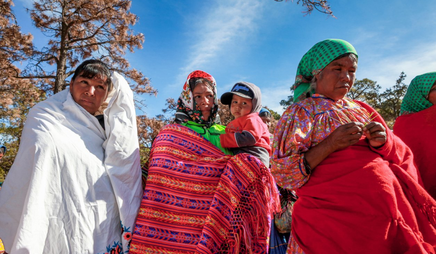 Nuestras raices
